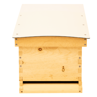 Front view of Deep Standard Langstroth for beekeeping with white composite roof