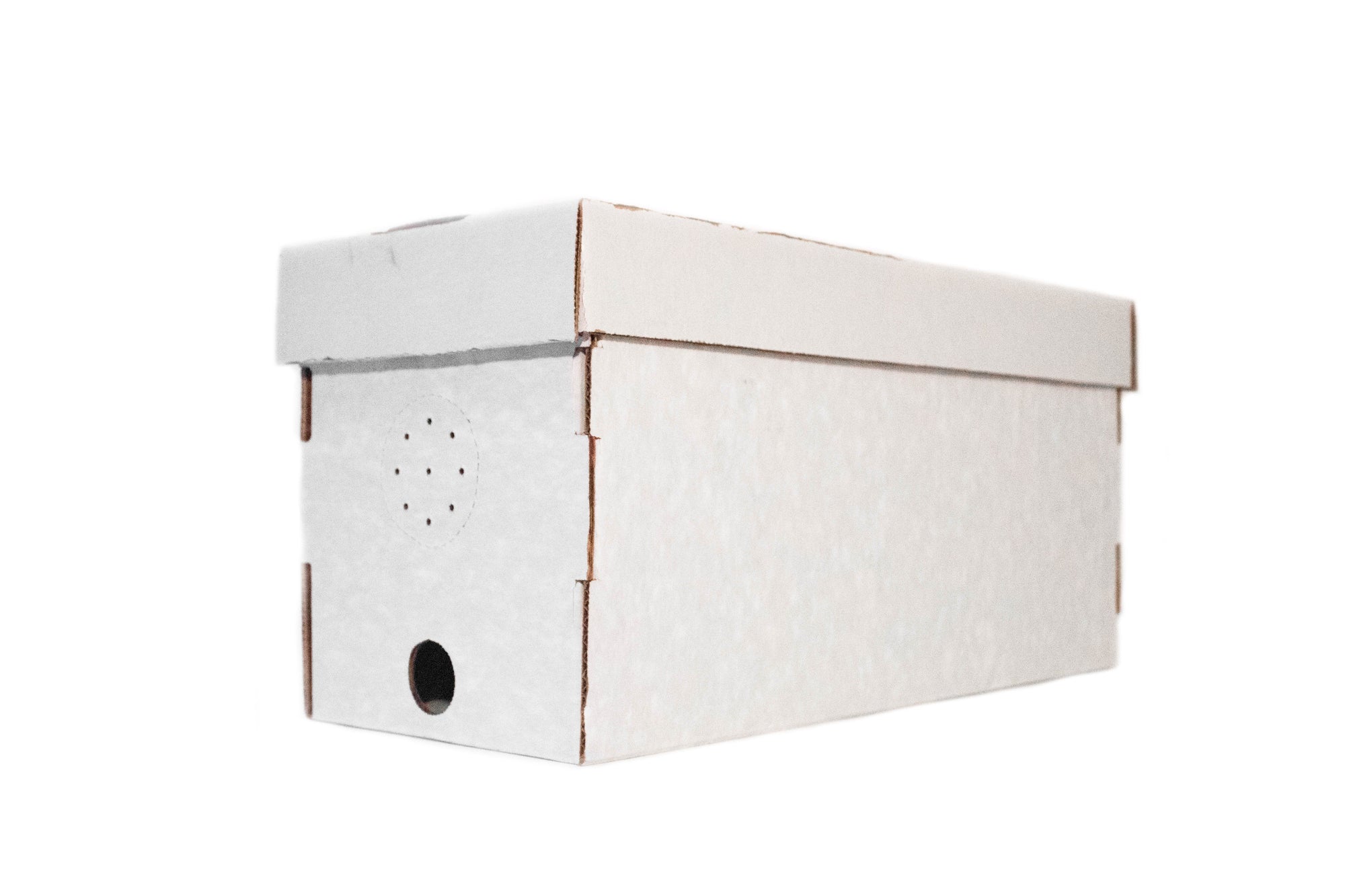 Cardboard nucleus box for holding bee swarms