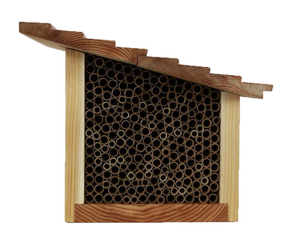 Keeping a Mason Bee House