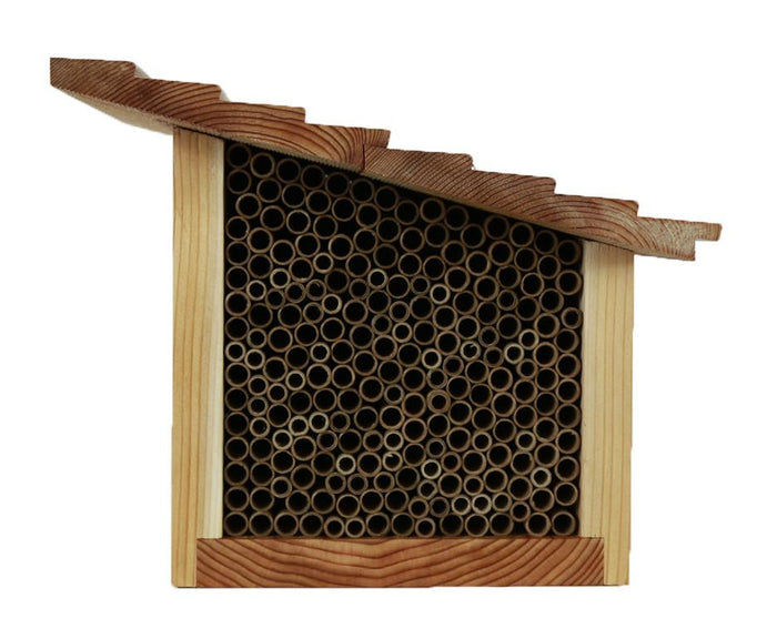 Keeping a Mason Bee House