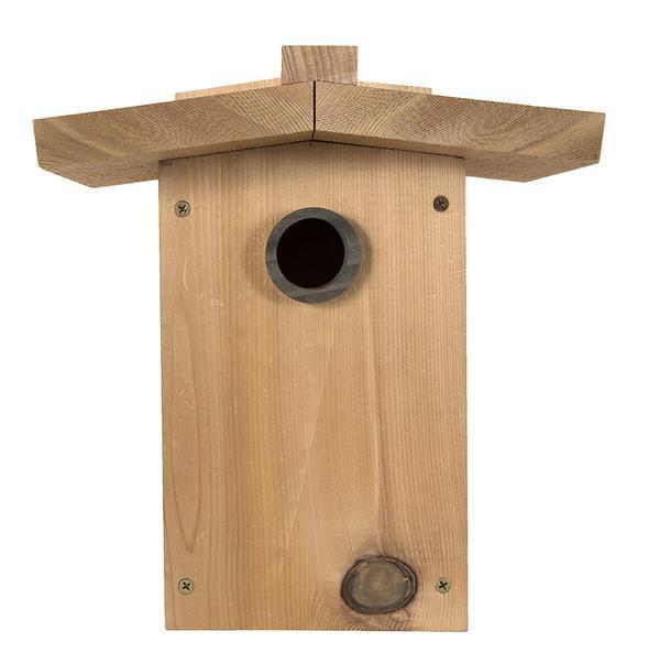 Designing the Perfect Birdhouse