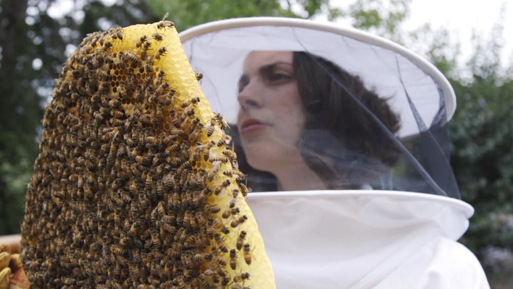 Let the Overwintering Series Begin!