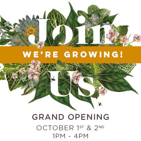 We're Growing! Join Us for Our Grand Opening