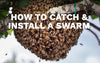 How to Catch and Install a Swarm