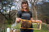 Introducing Beekeeping Classes with Tara Chapman!