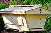 Beehives & Beekeeping Supplies for Sale