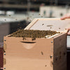 Langstroth bee hive and beekeeping supplies