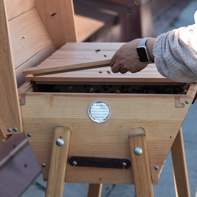 Top bar hive and top bars