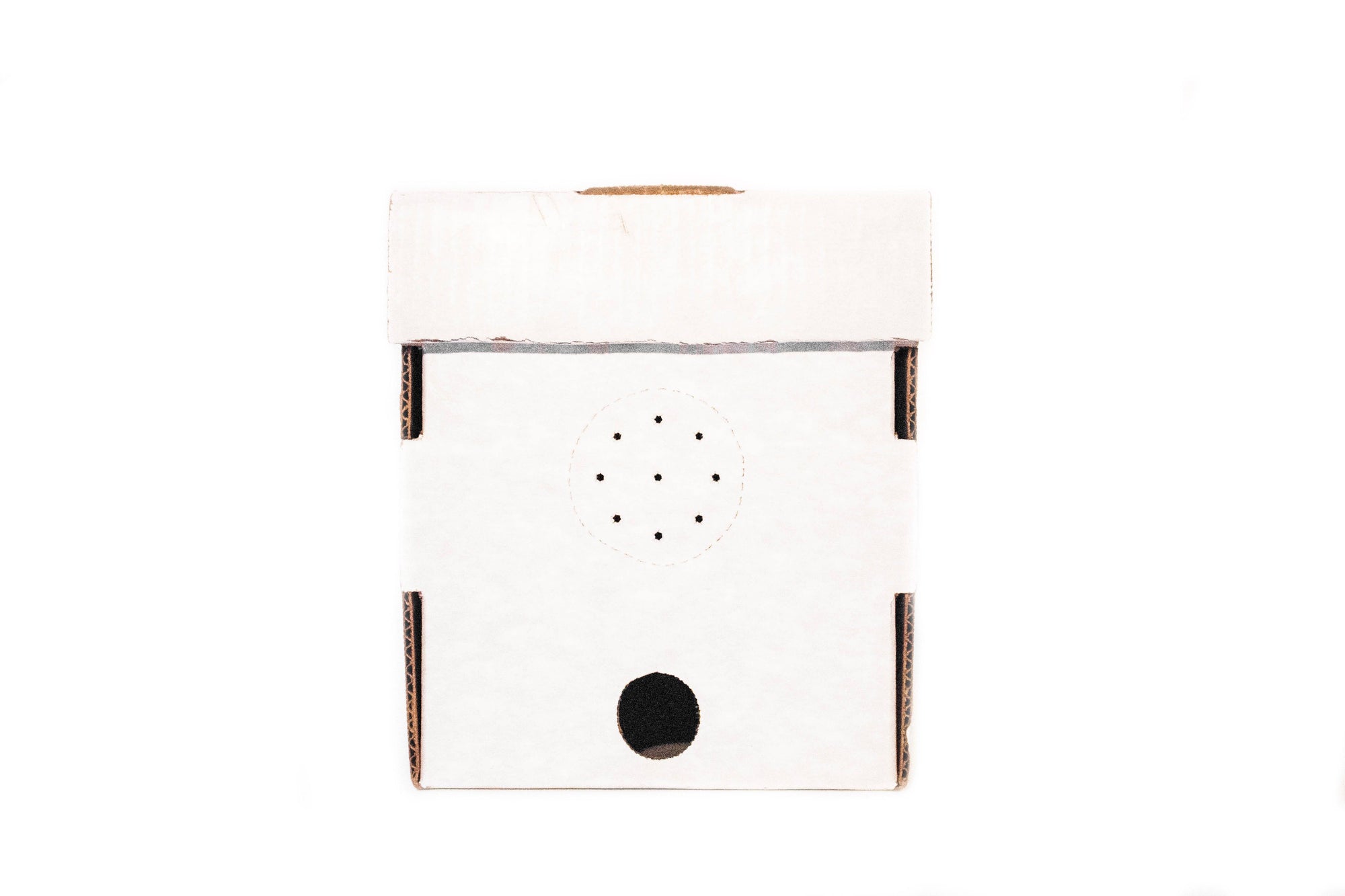 Cardboard nucleus box for holding bee swarms