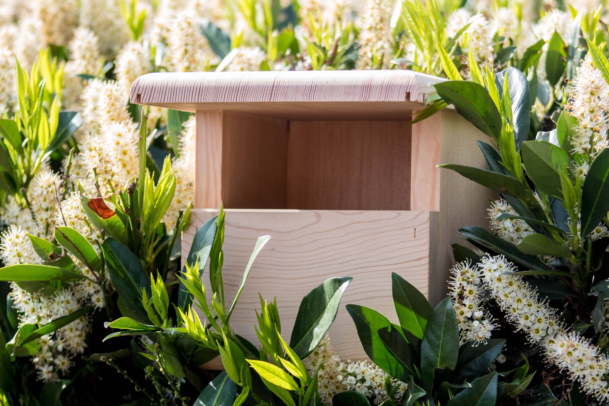 Wren birdhouse made from Douglas Fir
