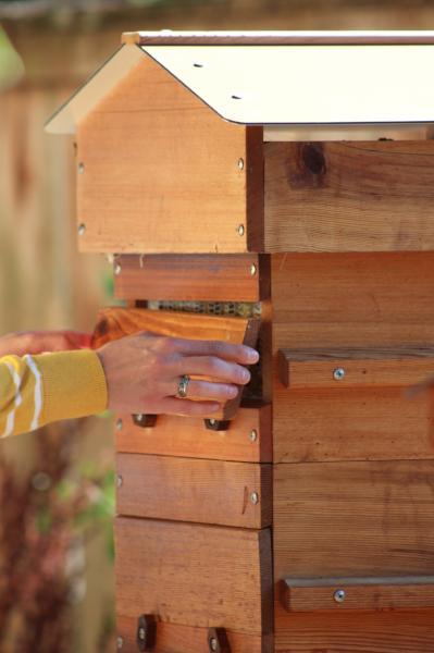 Composite Roof Panels