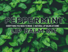 peppermint lip balm kit