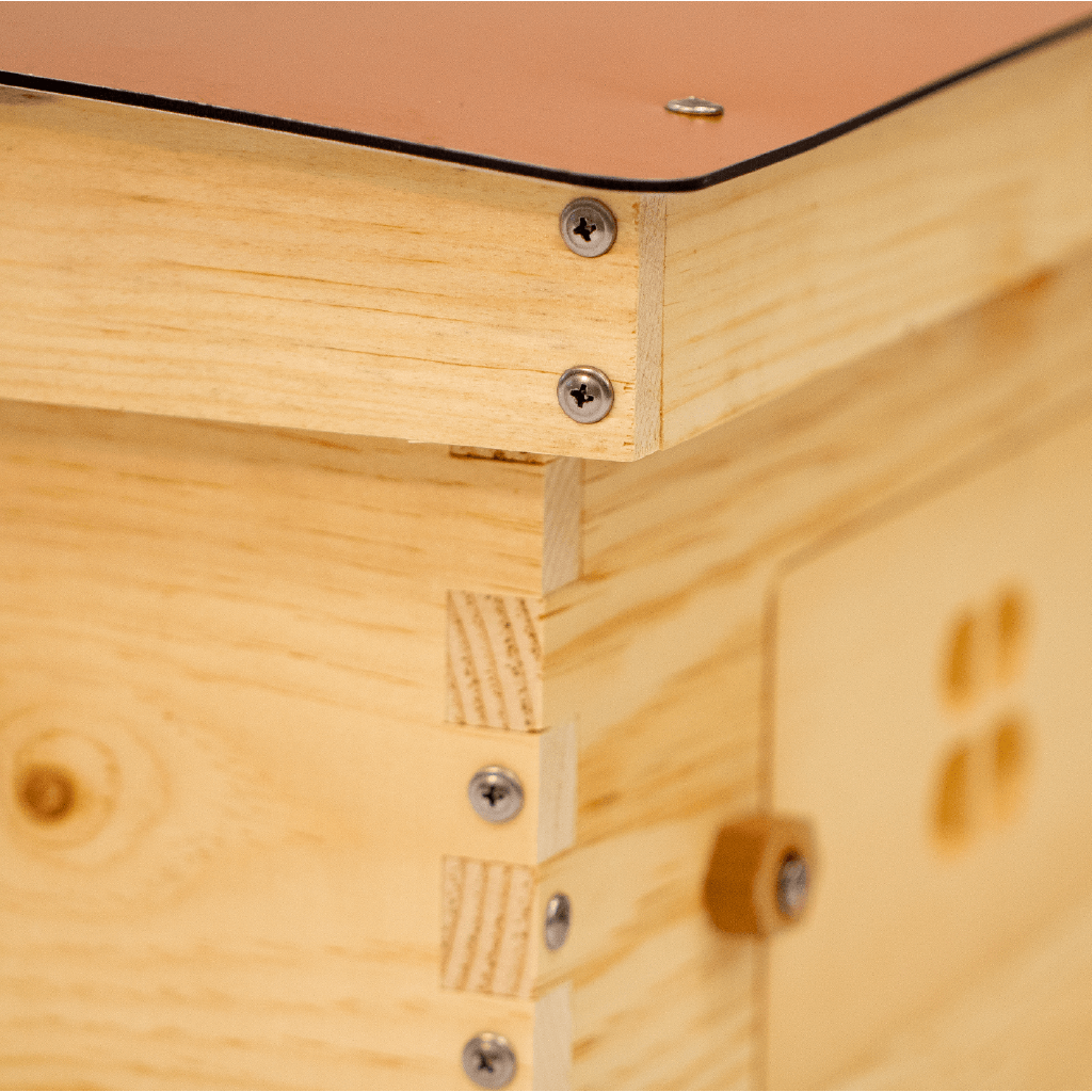 Close view of Deep Standard Langstroth for beekeeping