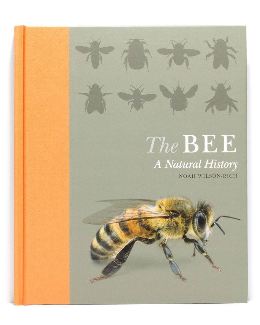 The Bee a Natural History